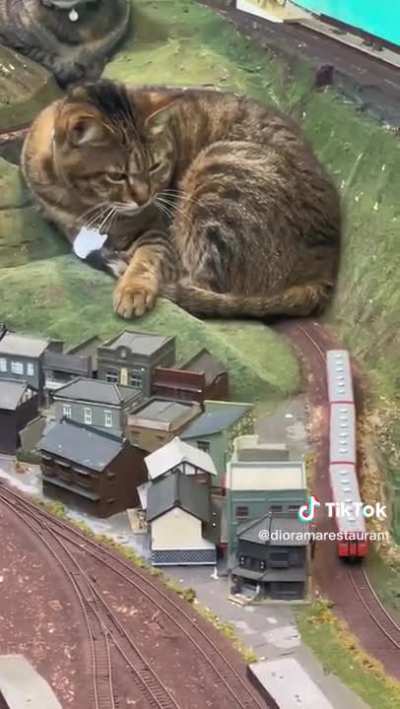 Catzilla Blocks & Derails Train