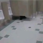 Cursed bathroom