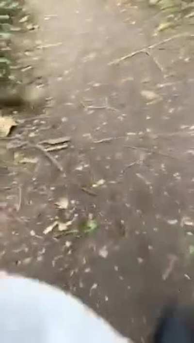 Northern Irish lad catches 2 men having sex in a public park, proceeds to tune them up with a lump of wood.