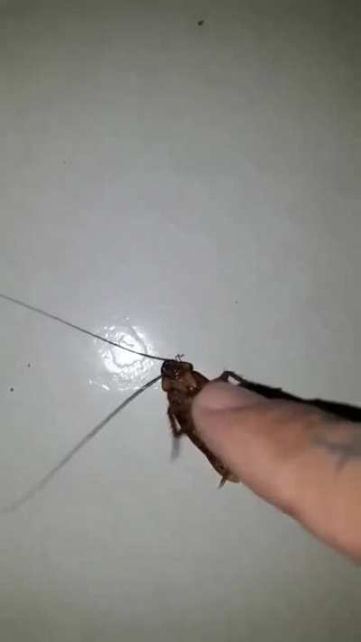 Awww that's cute