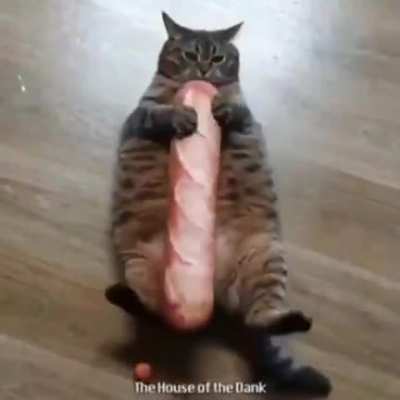 Dank_Baguette