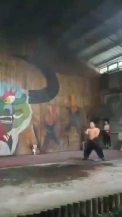 🔥 nuts!