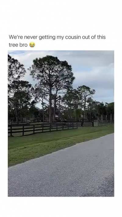Maybe maybe maybe
