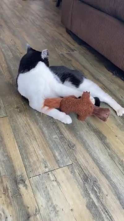 The boy is beaned