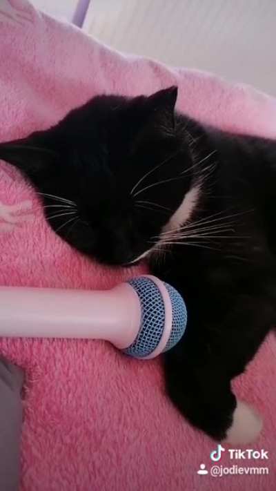 He loves sleeping 😴😍