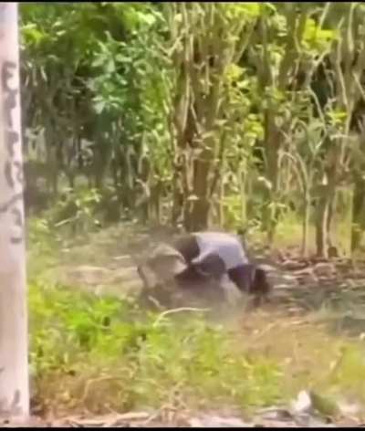 Que agonía 