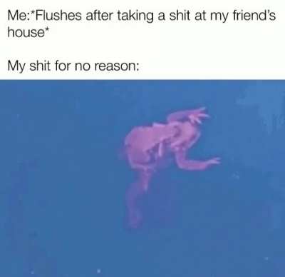Why are we still here