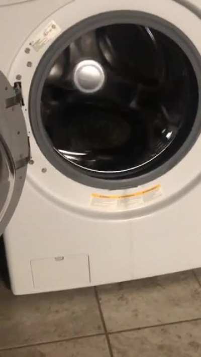 Cats are truly the masters of innovation. Posted in r/aww and was told this belongs here as well. This is my derpy 7 month old, Furiosa.