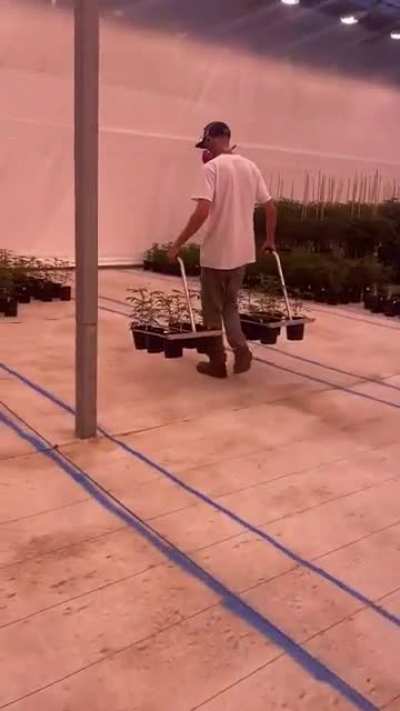 The ‘The Pot-forks’ make moving one gallons easy.