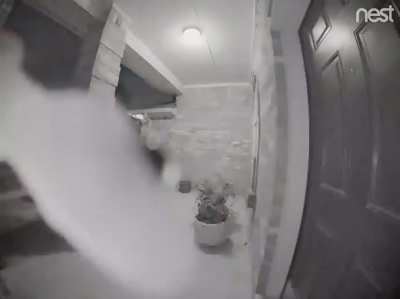 Geiko is still making house calls!