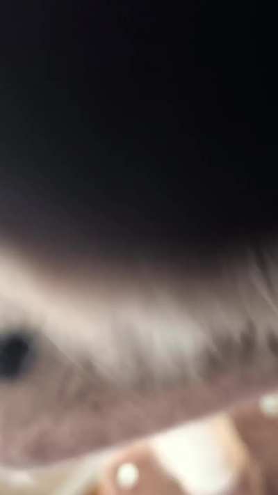 She won't let me stop petting her for one second, or else....
