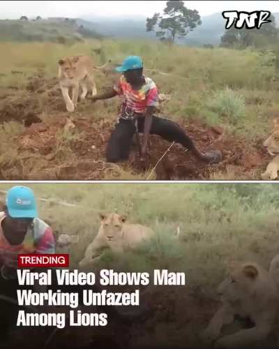 LiOnS fORceS ViCtIm tO diG hiS oWn grAvE bEfOrE kiLliNg hiM