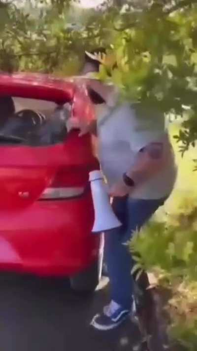 Nice skills