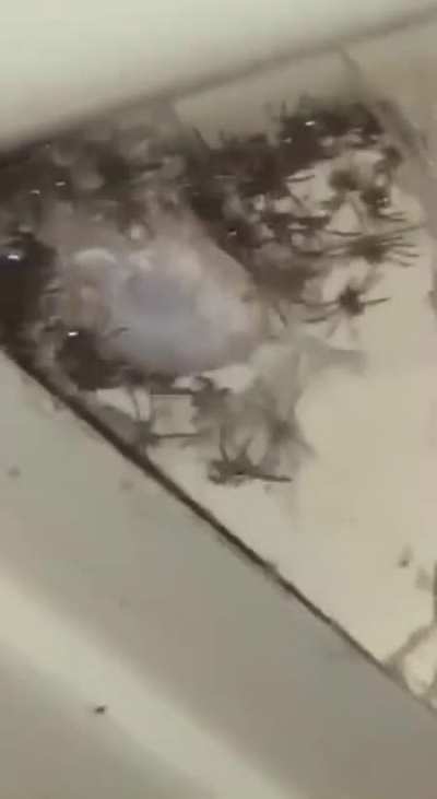 We're gonna need a bigger blowtorch