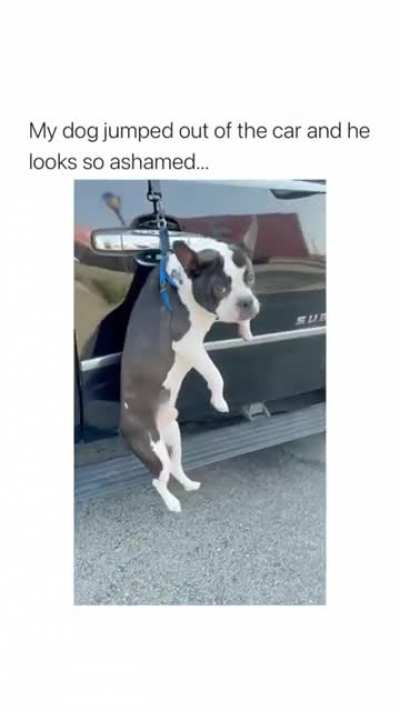 Hang in there