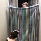 'What the fluff' challenge