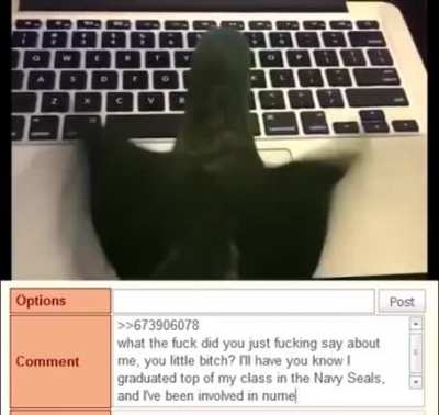 Don't fuck with me