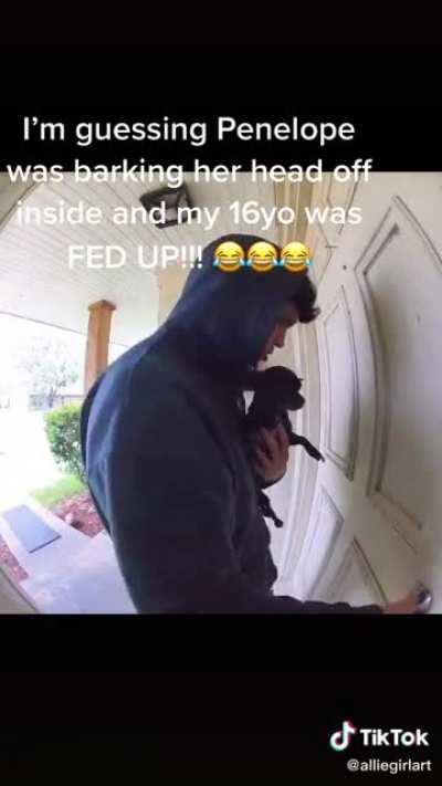 There’s no one there because her barking scared them off.