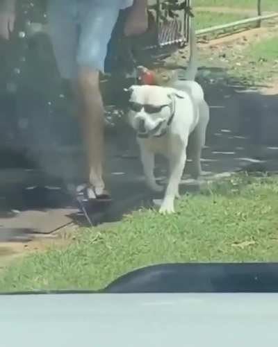 Gangsta’s Paradise