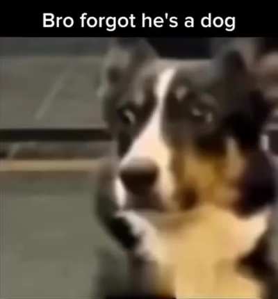 title