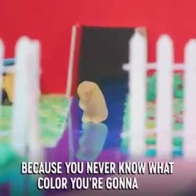 where gummy bears come from
