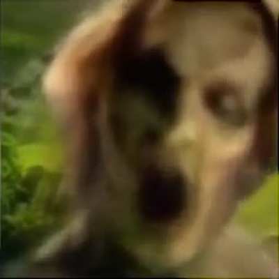 JUMPSCARE