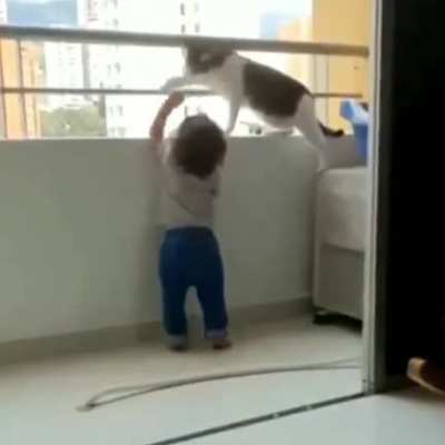 When the babysitter is a cat, rest assured, your child will be in good 