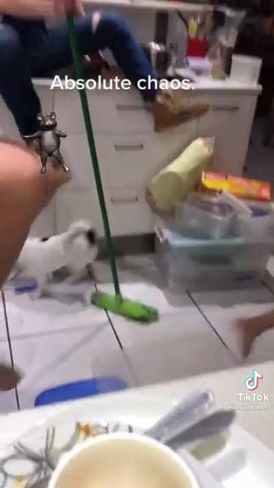 The good boys doing all the work