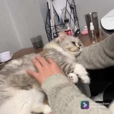 This is a nice place for a nap