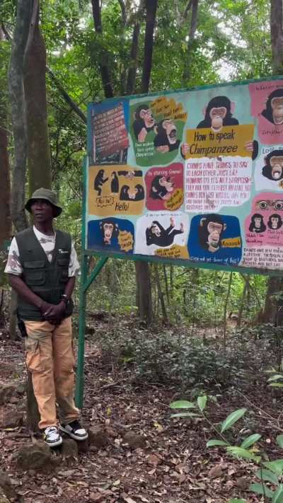 Learning basics of Chimpanzee vocal language