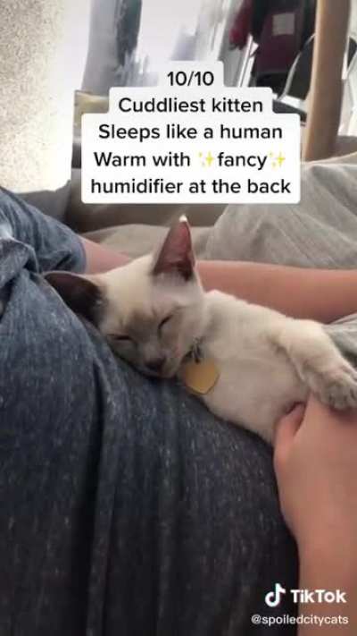 Rating Kitty Naps