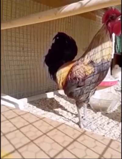 WCGW giving 110%