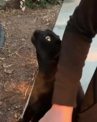 Нашел точку