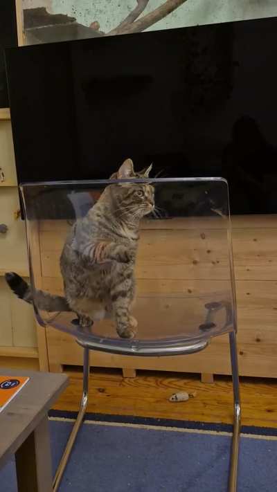 Another poor victim has been claimed by the Chair of Imprisonment
