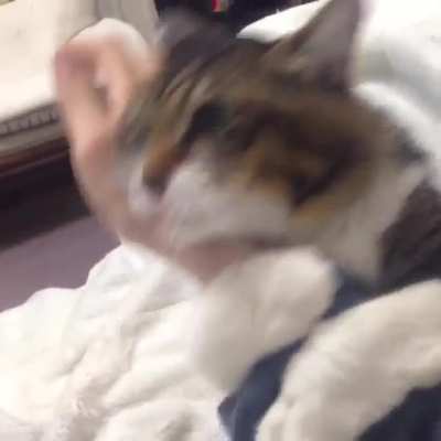 dis mine