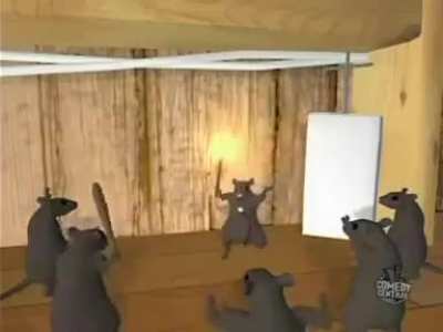 Rat