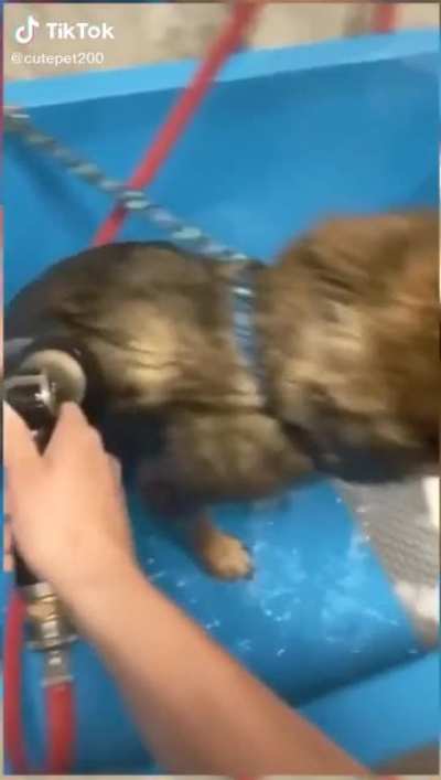 Aaaaaahhh