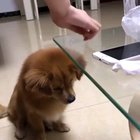 to eat that treat.