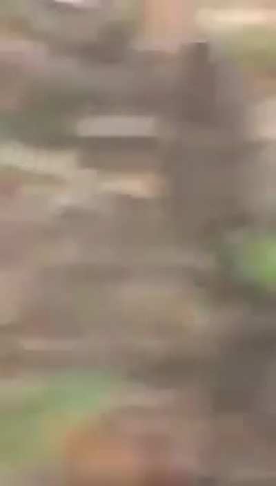 Dude rolled dead car down hill… absolutely destroys the car.