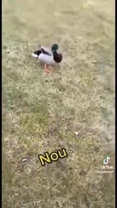 Glad Påsk!