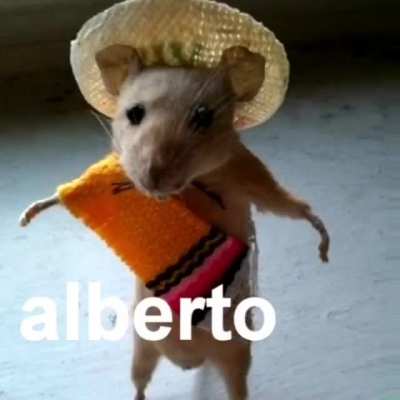 Alberto