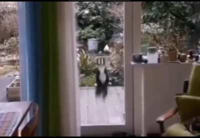 To get inside