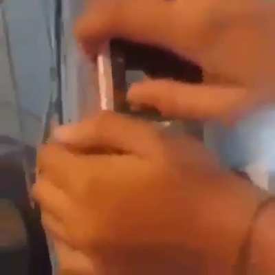 Boa
