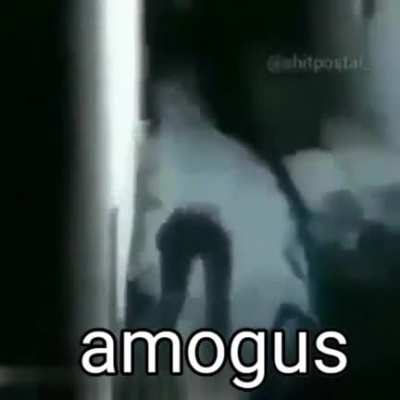 Sus