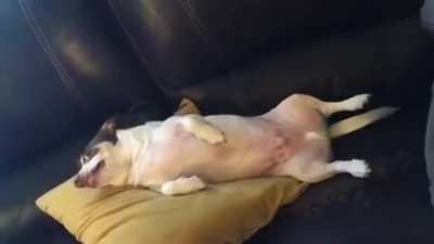 Perfectly Cut Mr Bubz