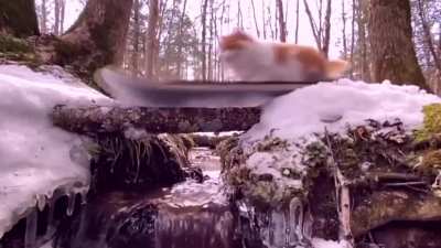 All this snow outside has reminded me of my favorite snowboarding video in existence