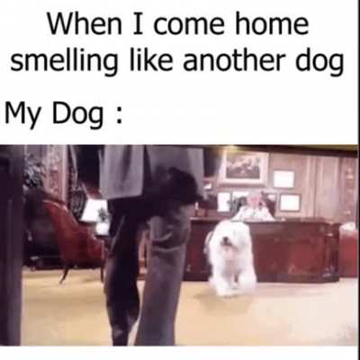 He kinda hates my friends dog ig