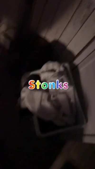 Stonks