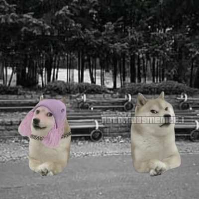 doGe-<wbr>Alışı<wbr>rım Gözlerimi Kapamaya