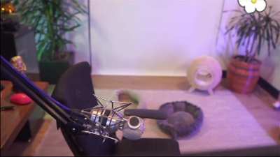 Bnans stream comp